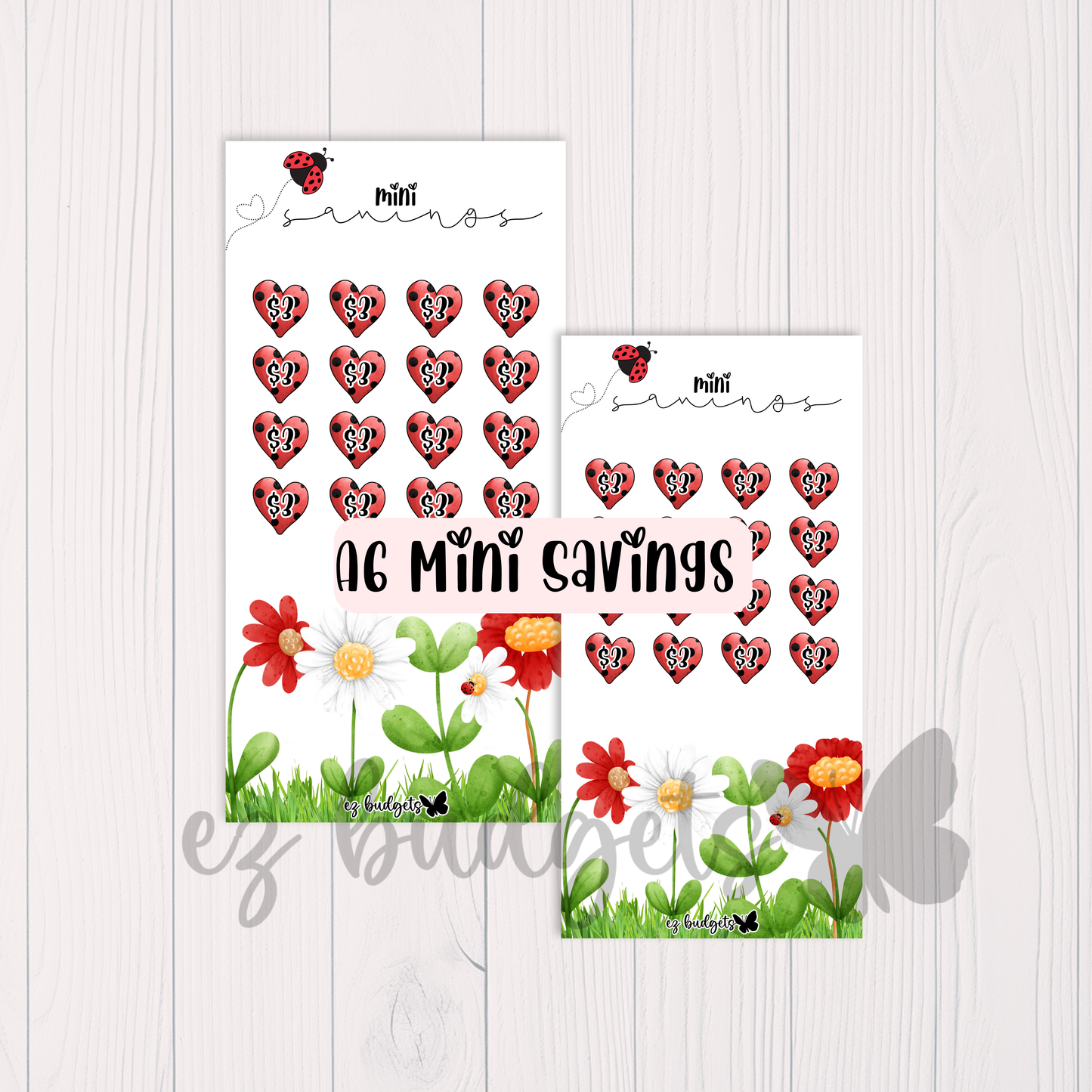 A6 Ladybug Savings Challenge