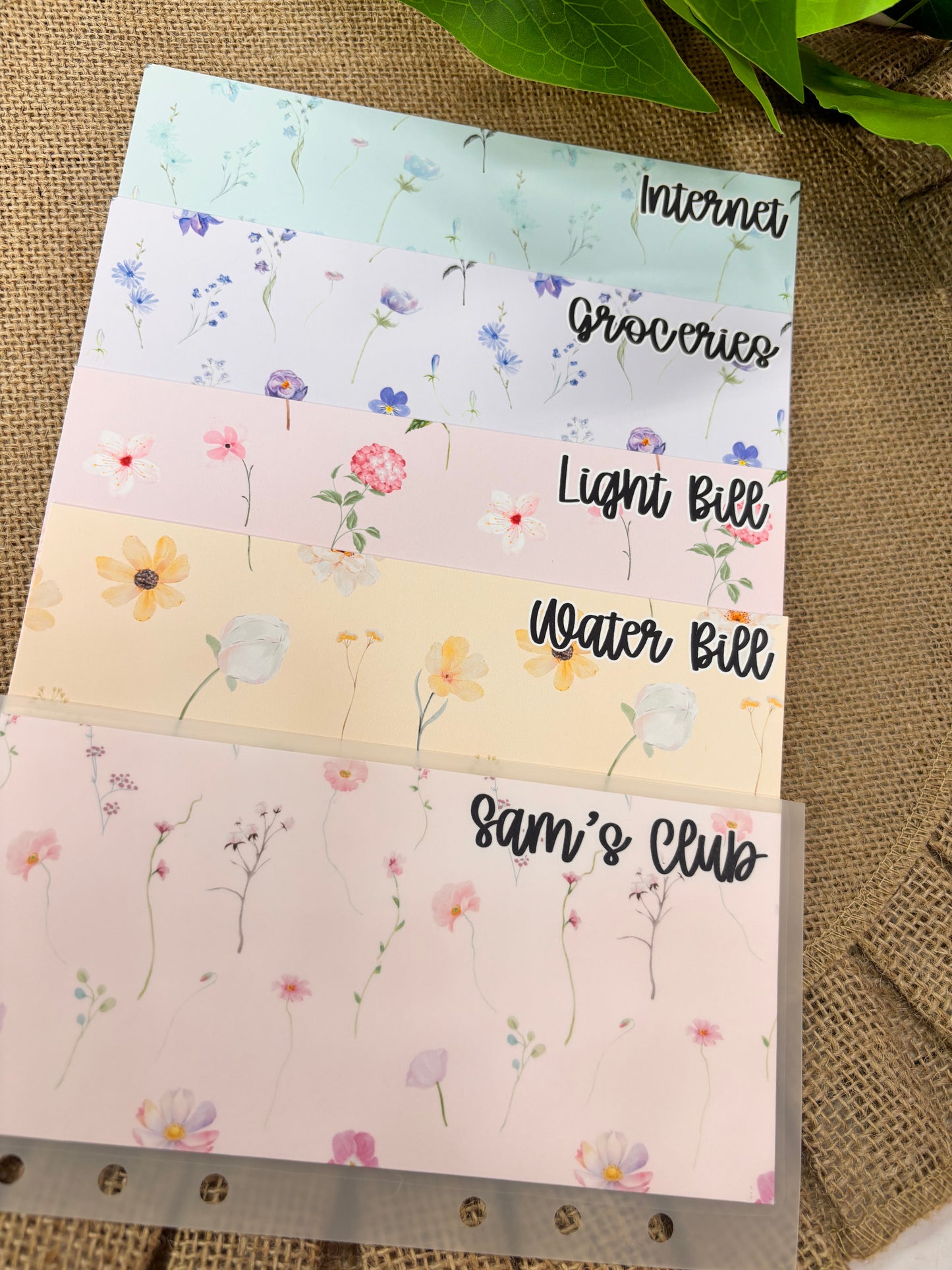 Set Of 5 Custom Envelopes, Pastel Colors