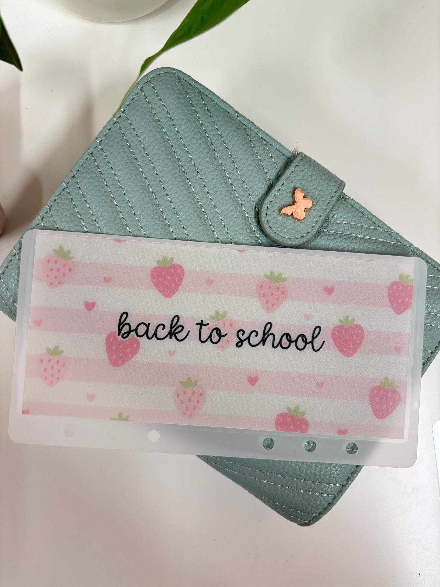 A6 Custom envelopes, Vellum cash envelopes, strawberry cash envelopes, A7 Cash envelopes, Frosted Cash envelopes