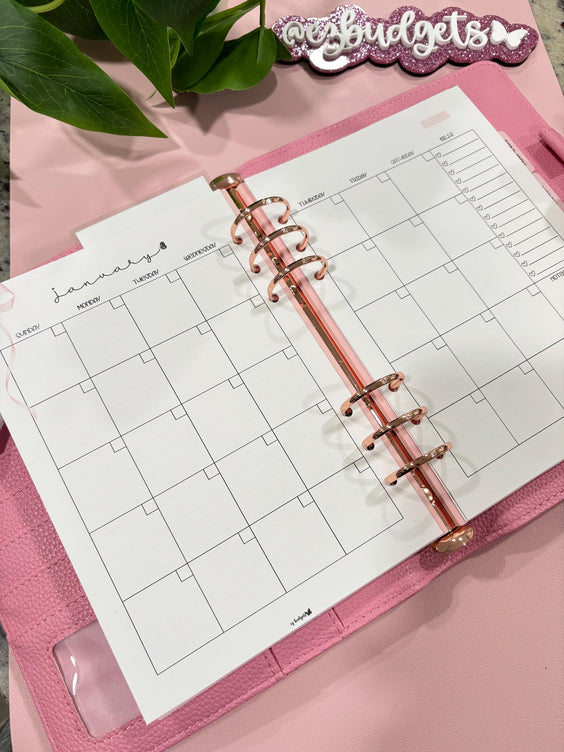 A5 Monthly Overview + Monthly Reflections, Laminated, Reusable, Budget Planner Inserts, Build Your Own Budget Planner, Includes ONE month