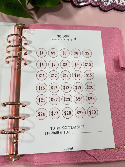 A5 30 Day Savings Challenge, Laminated, Reusable, Budget Planner Inserts, Build Your Own Budget Planner